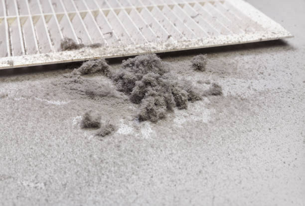 Best Air Duct Cleaning Near Me  in Lamar, SC