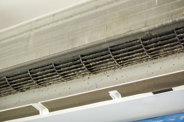 Best Air Duct Sanitizing Services  in Lamar, SC