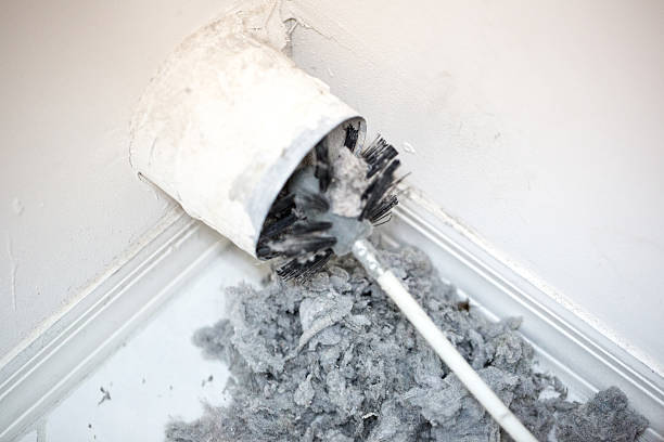 Best Affordable HVAC Duct Cleaning  in Lamar, SC